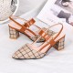 Women's Chunky Block Heels Pointed Toe Buckle Shoes - Brown image