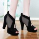 High Heeled Fish Mouth Mesh Women Sandal Shoes - Black image