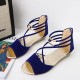 Fashion Comfort Solid Strap Low-heeled Sandals - Blue image