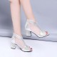 Glitter Back Zipper Low Heels Sandals - Silver image