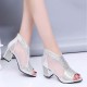 Glitter Back Zipper Low Heels Sandals - Silver image
