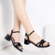 Stylish Cross Border Style Low Heeled Sandals for Women - Black image