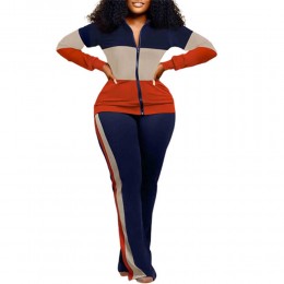 Long Sleeve Full Zipper Two Piece Multicolor Sportswear - Blue