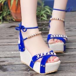 Women Fashion Thick Crust High Wedge Sandals - Blue