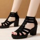 Platform Fish Mouth Back Zipper High Women Heel Sandals - Black image