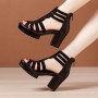 Platform Fish Mouth Back Zipper High Women Heel Sandals - Black