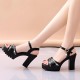 Bohemian Platform Buckle Strap Women High Heel Sandals - Black image