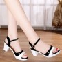 Stiletto Buckle Strap Open-Toe Women Heels Sandals Black