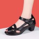 Retro Style Fish Mouth Velcro Square Women Heels Sandals Black image