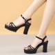 Peep Toe Platform Hollow Ankle Straps High Heel Sandals - Black image