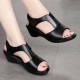 Casual Style Thick Soled Hollow Peep Toe Zipper Wedge Sandals Black image