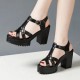 Hollows Peep Toe Stripy Buckle Closure Square Heel Sandals - Black image