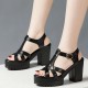 Hollows Peep Toe Stripy Buckle Closure Square Heel Sandals - Black image