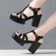 Hollows Peep Toe Stripy Buckle Closure Square Heel Sandals - Black image