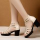 Platform Fish Mouth Back Zipper High Women Heel Sandals - Beige image