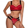  Luxury Two Pieces Bralette Lace Nightwear Bra & Panty Set - Red