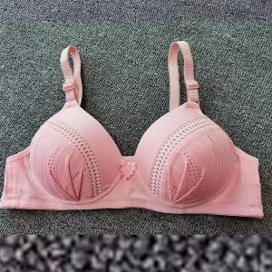 Elastic Sponge Thin Mold Cup Push Up Wire Free Women Bra - Pink