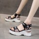 Luxury Strappy Thick Bottom Velcro Fish Mouth Sports Sandals - Pink image