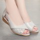 Open Toe Low Cut Flat Bottom Hollow Out Women Sandals - Beige image