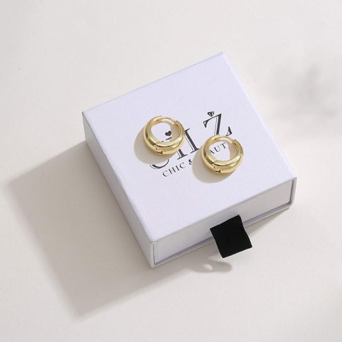 Stylish Gold Hoop Earrings for Women image
