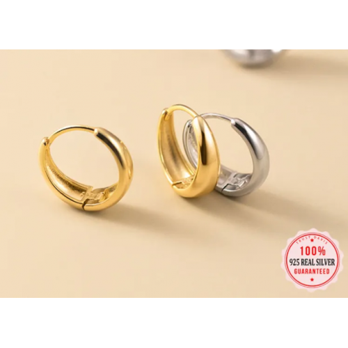 Stylish Silver Hoop Earrings for Women image